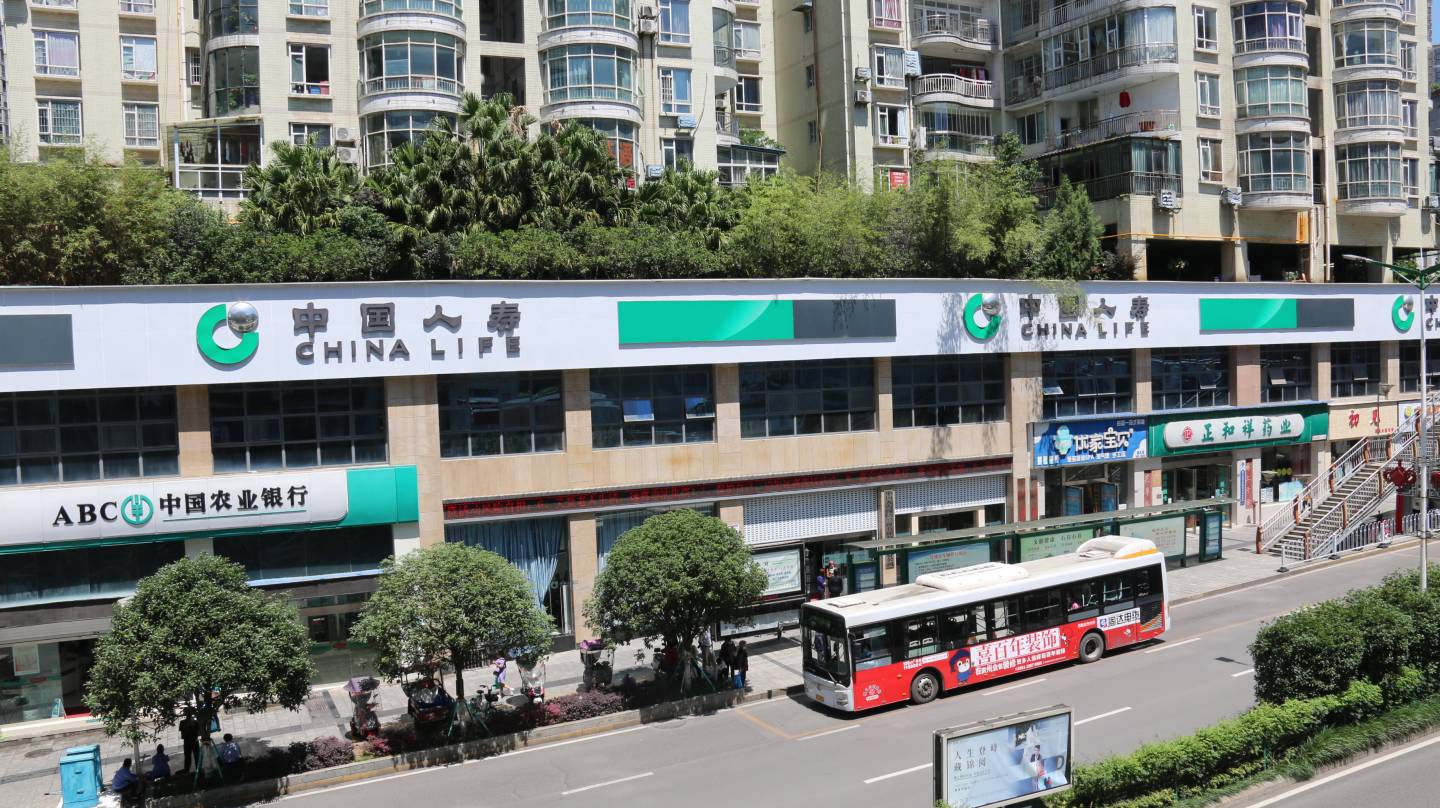 中国人寿.jpg