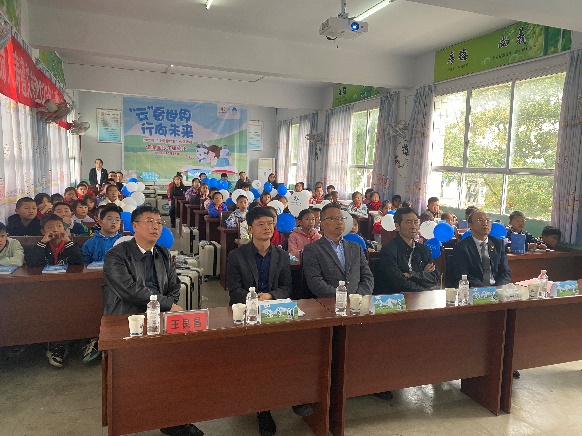 富德生命小海豚完小图片1.jpg