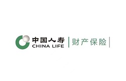 中国人寿财险